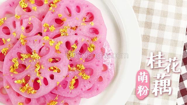 《宝餐一顿》藕也有颗公主心