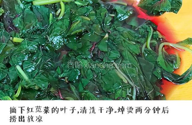 第一步：摘下红苋菜的叶子，清洗干净。焯烫两分钟后捞出放凉。
