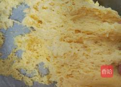 红薯馒头（金元宝）的做法图解6