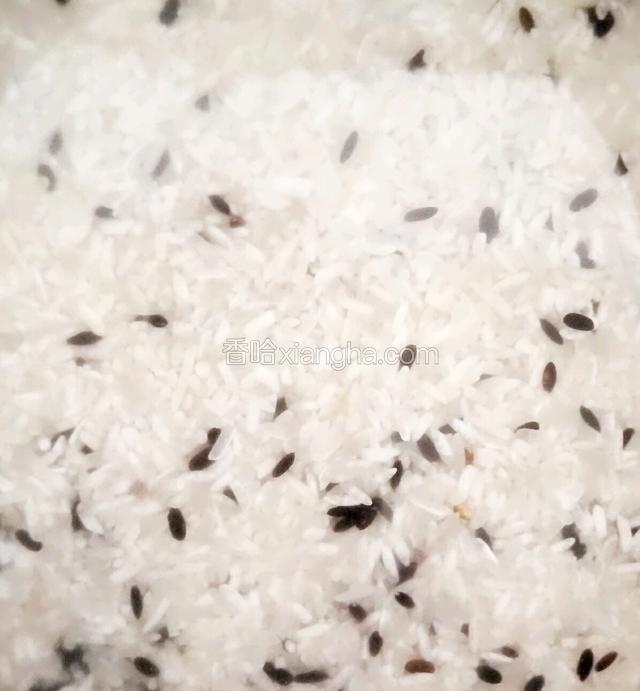 上电饭煲20分钟左右