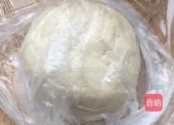 鲜肉月饼(肉番烧)的做法图解2