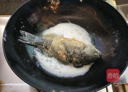 红烧鲫鱼的做法图解6