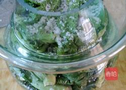 泡菜的做法图解8