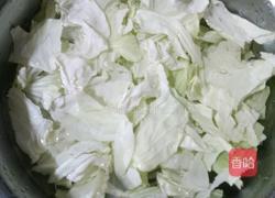 炝炒手撕包菜的做法图解2