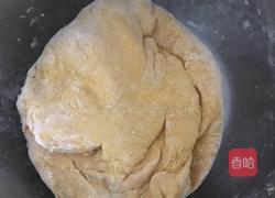 小刺猬、小兔子南瓜核桃芝麻馒头的做法图解3