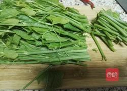 凉拌南瓜藤的做法图解3