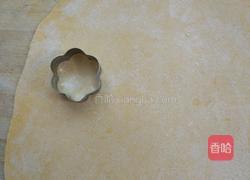 白菜蝴蝶面的做法图解3