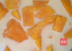 鲜奶芒果的做法图解3