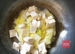 白菜烧豆腐的做法图解6