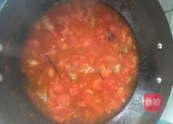 西红柿炖牛腩的做法图解14