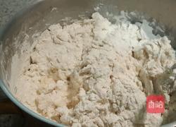 白菜猪肉包的做法图解2