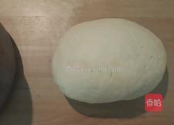 白菜猪肉包的做法图解3