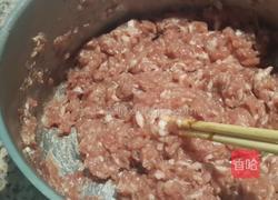 白菜猪肉包的做法图解5