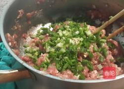 白菜猪肉包的做法图解6