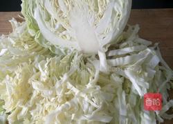 凉拌包菜丝的做法图解1