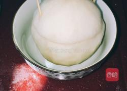 川贝冰糖雪梨的做法图解7