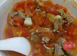 牛肉炖柿子的做法图解7