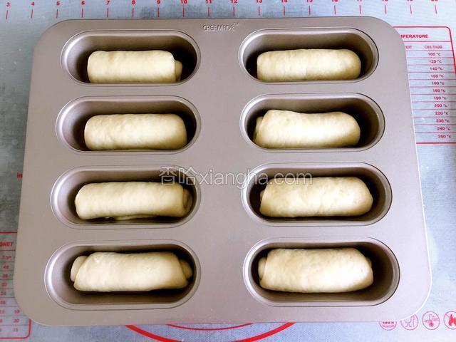 所有的面团卷好放入学厨迷你热狗模具。
