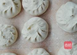 猪肉莲菜包子的做法图解8