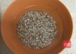 鲫鱼薏米白萝卜葱汤 的做法图解1