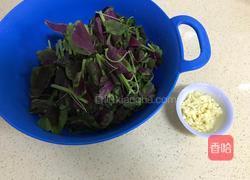 蒜蓉苋菜的做法图解5