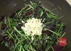 蒜蓉苋菜的做法图解9