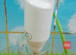 火龙果藕粉冻的做法图解2