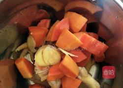 木瓜煲鸡汤的做法图解6