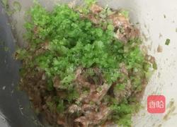 芹菜胡萝卜肉饺子的做法图解8