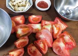 西红柿炖牛腩的做法图解8