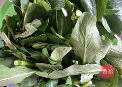 蒜泥青菜的做法图解1