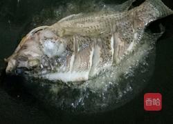 番茄盖罗非的做法图解2