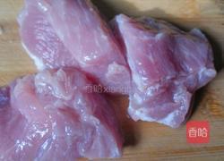 自制肉松的做法图解1