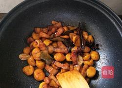 板栗红烧肉的做法图解13