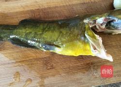 清蒸黄刺鱼的做法图解1