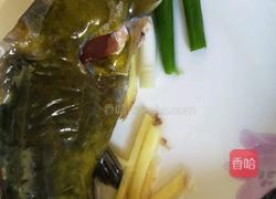 清蒸黄刺鱼的做法图解4