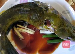 清蒸黄刺鱼的做法图解5