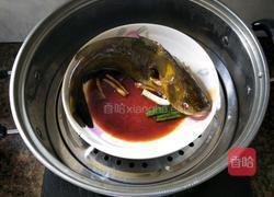 清蒸黄刺鱼的做法图解7