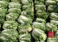 东北腌酸菜的做法的做法图解1