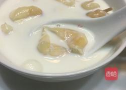 花胶炖奶的做法图解4