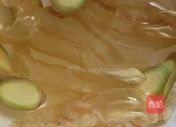 花胶炖奶的做法图解2