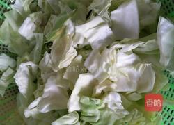 清炒包菜的做法图解3