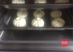 萝卜丝肉馅包子的做法图解32