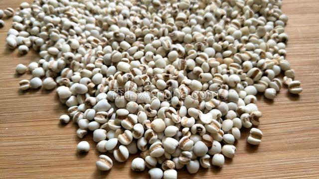 薏仁具有利水消肿、健脾止泻、美白肌肤的食疗效果