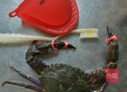 清蒸（赤甲红）螃蟹的做法图解2