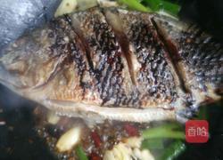 红烧罗非鱼的做法图解4