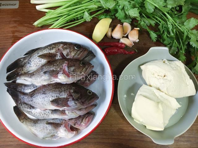 将黑鱼去内脏洗净，各种辅料备好！