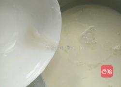 椰奶冻的做法图解5