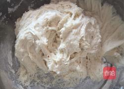 豆馅包的做法图解3