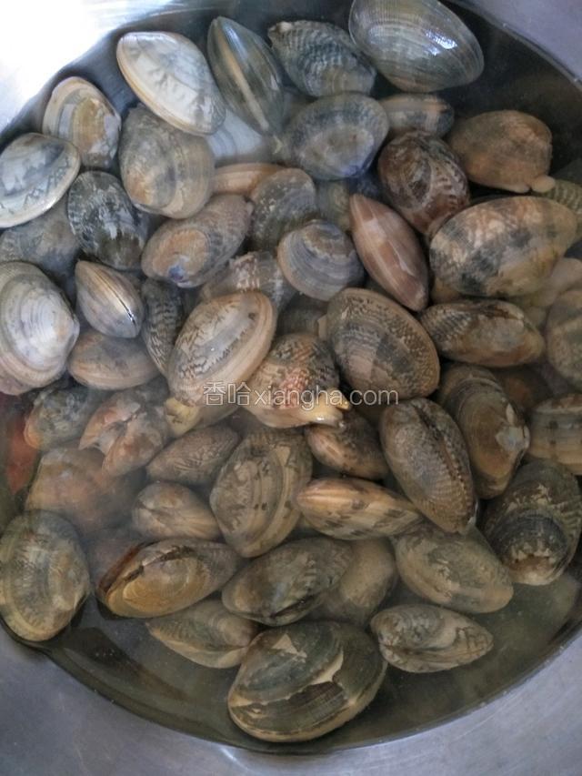 准备好材料